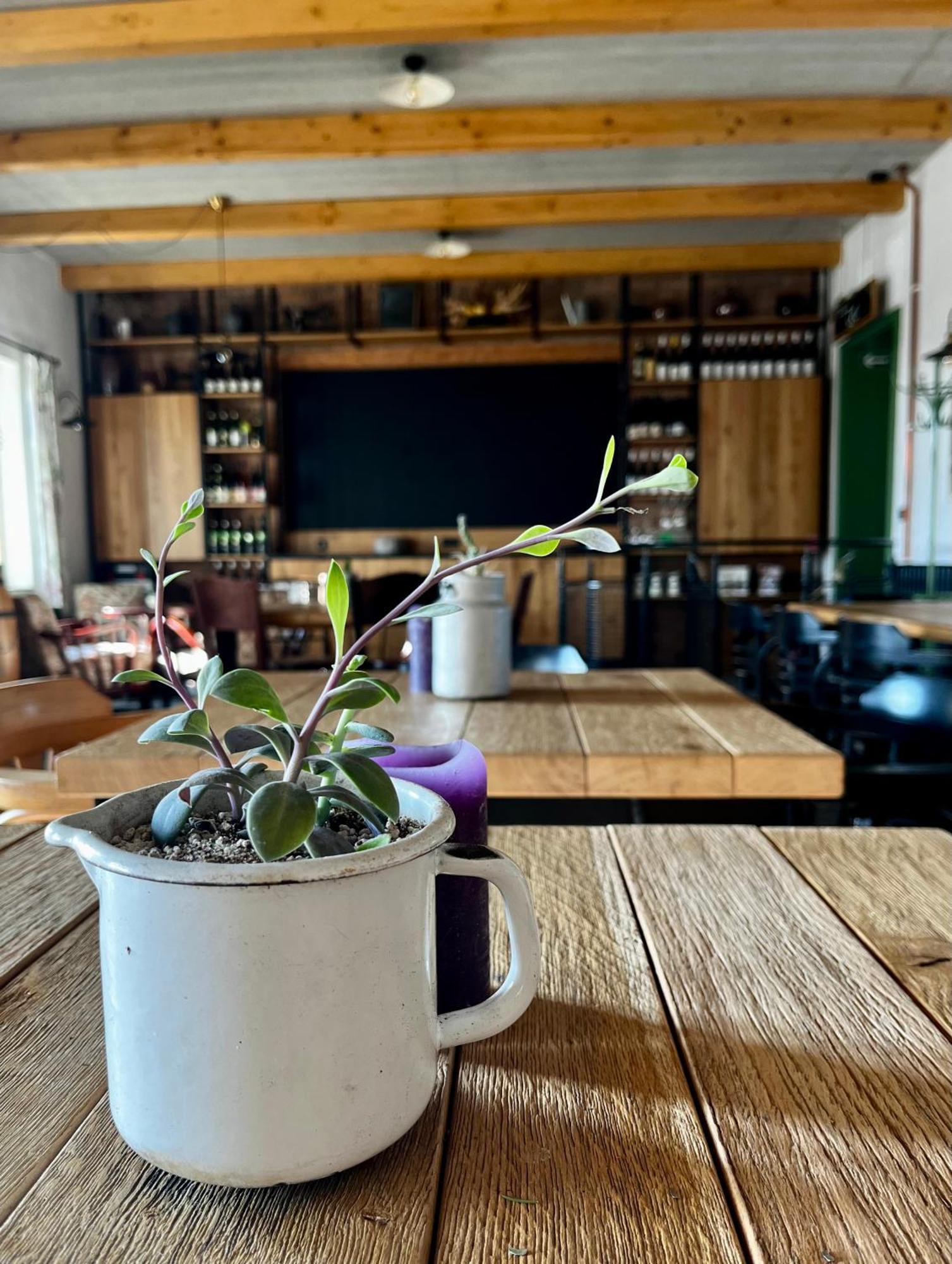 Penzion A Bistro Stary Kopec Зноймо Екстер'єр фото